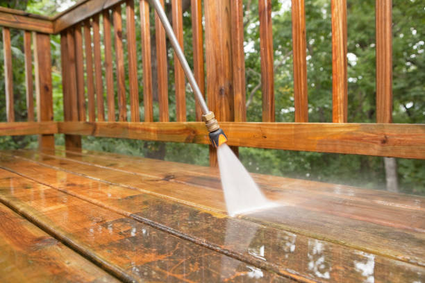 Best Exterior Home Cleaning  in Oliver Springs, TN